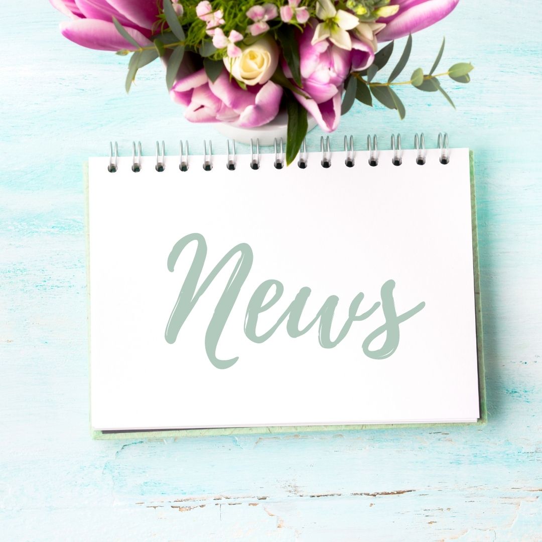 News von Finny Ludwig